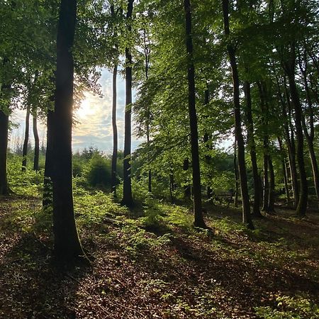 Fruehstueckspension Zur Krone Bad Endbach المظهر الخارجي الصورة